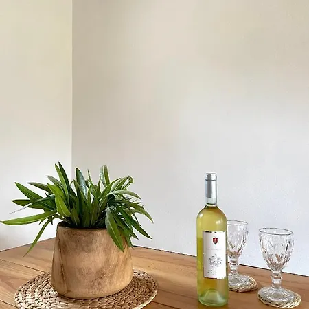 Villa Santu Martine: With Pool *