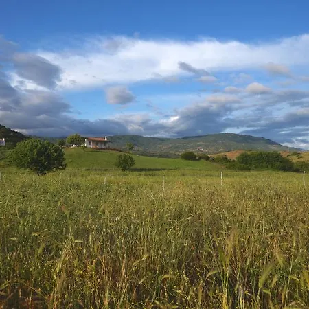 Santu Martine: With Pool * Galtellì