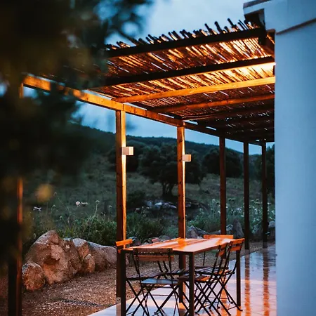 Villa Santu Martine: With Pool Galtelli
