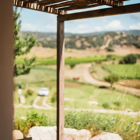 Villa Santu Martine: With Pool *