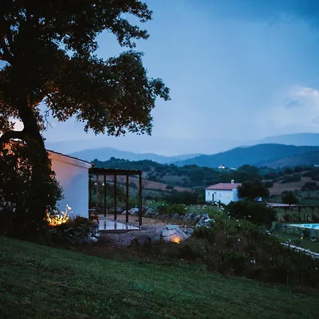 Villa Santu Martine: With Pool *